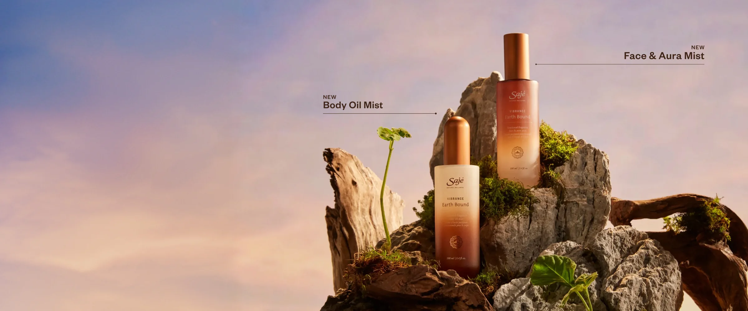 Nurture Your Nature with Plants